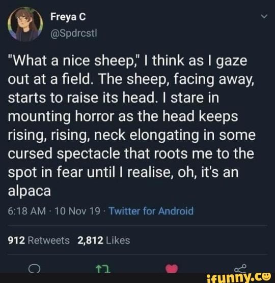 "What a nice sheep,' I think as I gaze
out at a field. The sheep, facing away,
starts to raise its head. I stare in
mounting horror as the head keeps
rising, rising, neck elongating in some
cursed spectacle that roots me to the
spot in fear until I realise, oh, it's an
alpaca
6:18 AM
10 Nov 19
Twitter for Android
912 Retweets 2,812 Likes