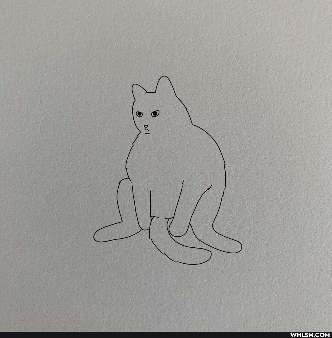 funny, cat, art, lol