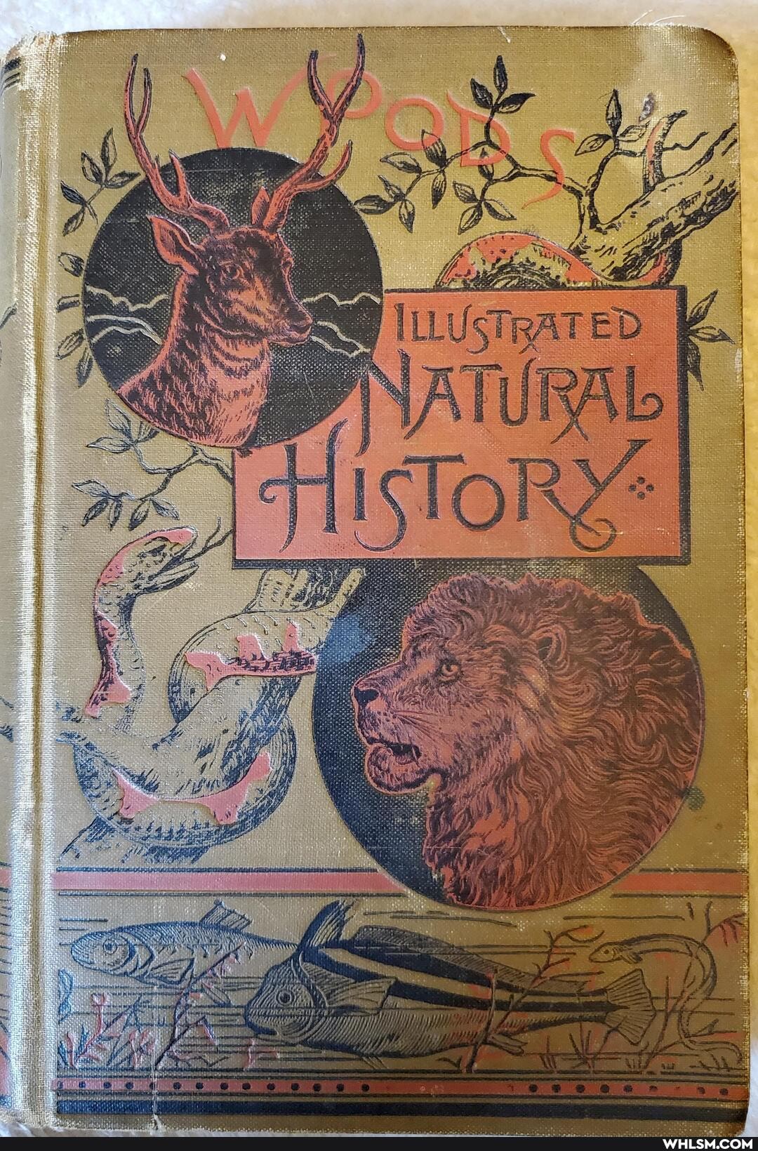 natural_history, art, books, old_stuff