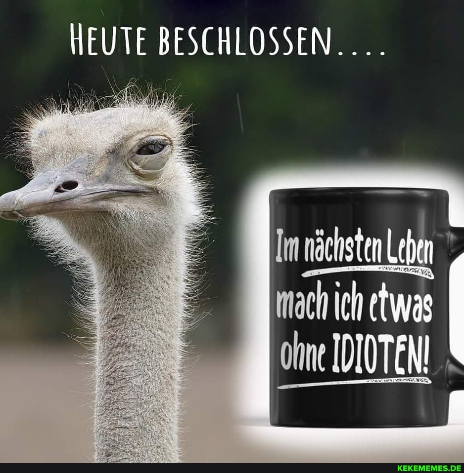 HEUTE BESCHLOSSEN.
Im nöchsten Lebe I
mach ich etwag ohne IDIOTEN!