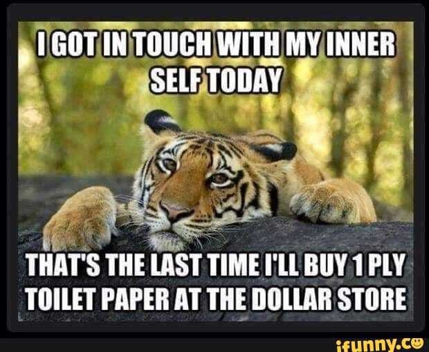 THAT'S
THE
ELAST TIME FLL
BUY PLY.
TOILET PAPER AT THE DOLLAR STORE
