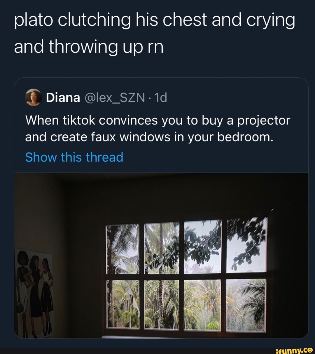 plato clutching his chest and crying and throwing up rn
Diana @lex_SZN
When tiktok convinces you to buy a projector and create faux windows in your bedroom.
Show this thread