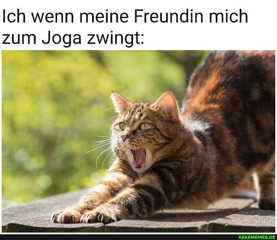 Ich wenn meine Freundin mich zum Joga zwingt: