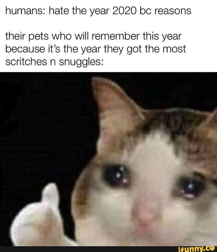 humans: hate the year 2020 bc reasons
their pets who will remember this year because it's the year they got the most scritches n snuggles: