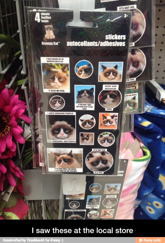 I saw these at the local store - I saw these at the local store