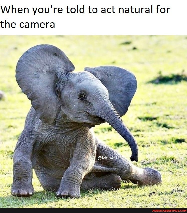 When you're told to act natural for the camera