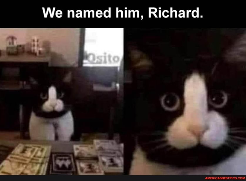 We named him, Richard.