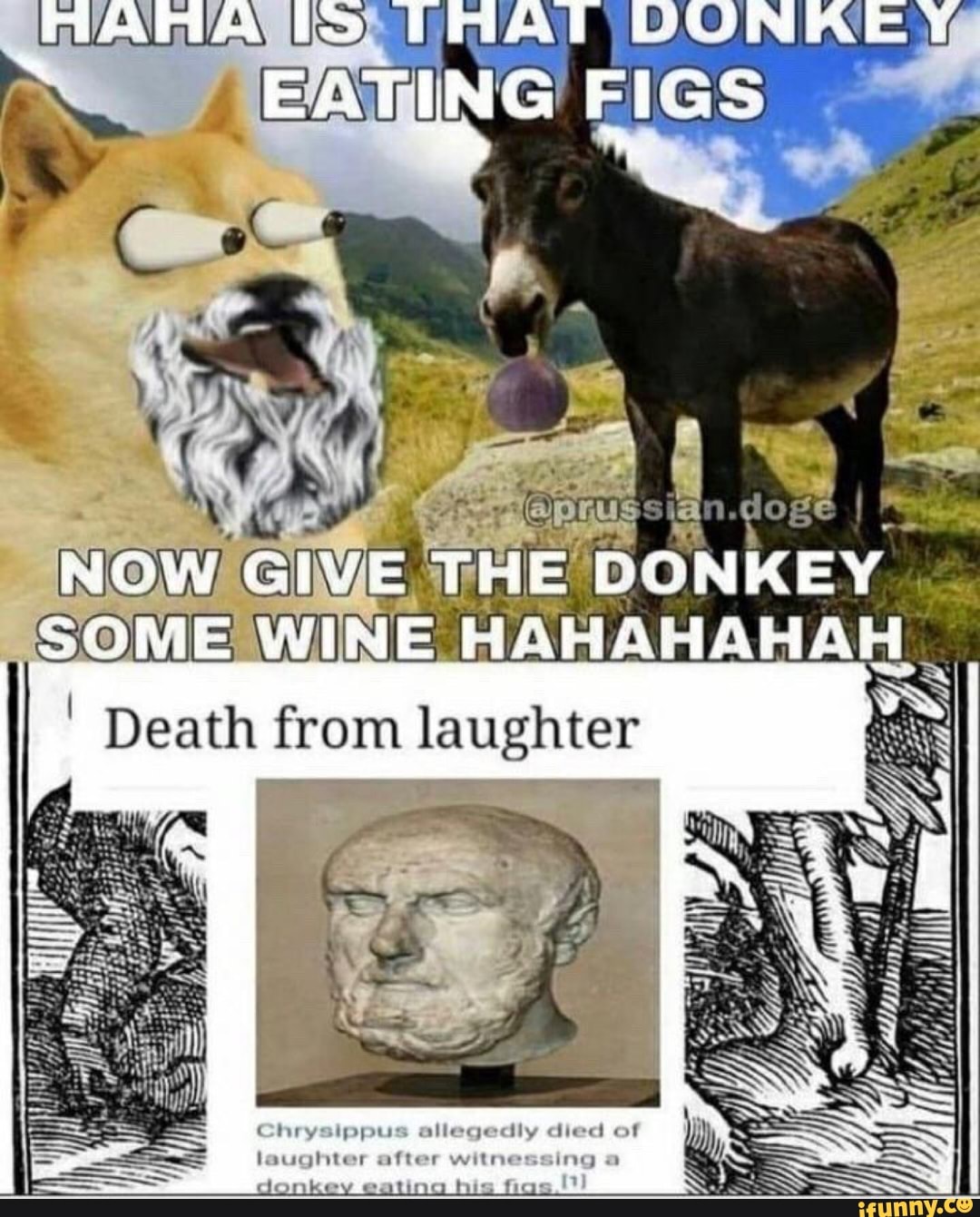 AN vo US EATING FIGS . Cs NOW SOME GIVE THE DONKEY WINE Death from