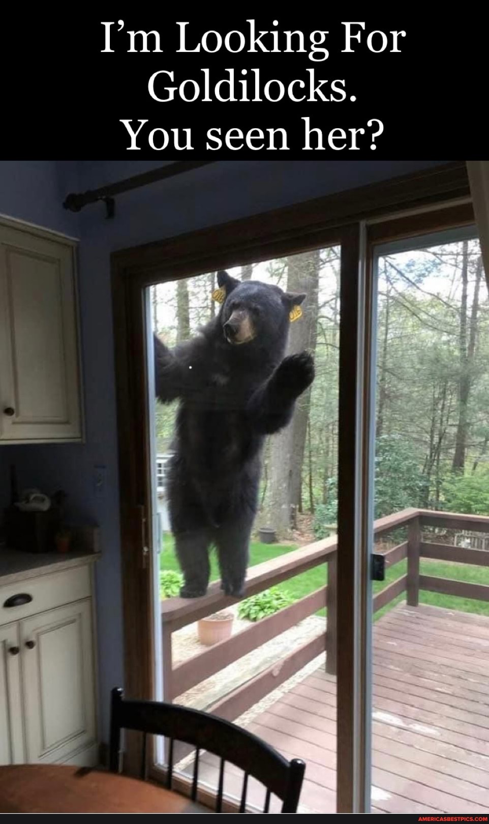 I'm Looking For
Goldilocks.
You seen
her?