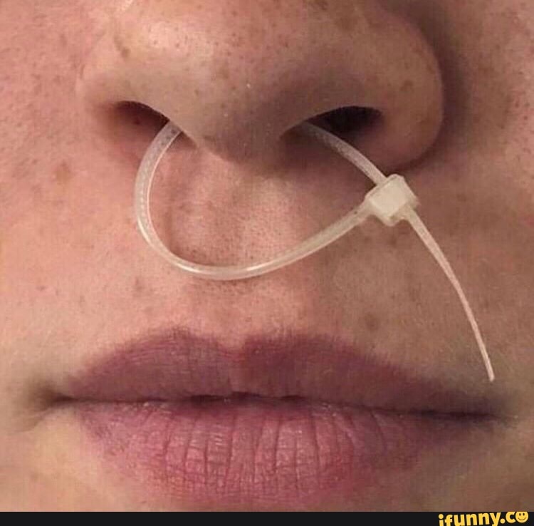 Nosepiercing memes. Best Collection of funny Nosepiercing pictures on  iFunny Brazil