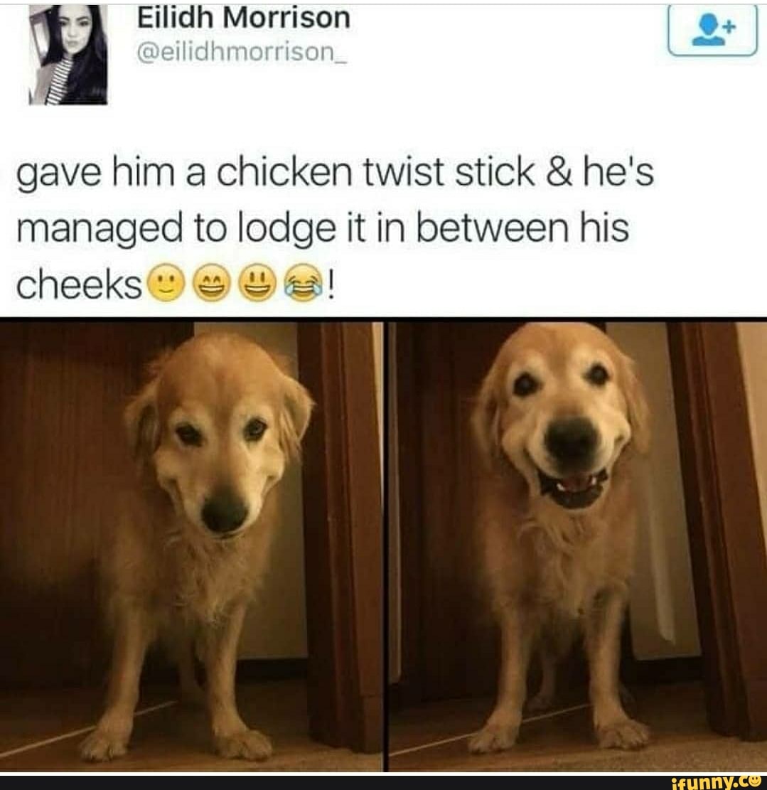 34 Eilidh Morrison
4
gave him a chicken twist stick he's
managed to lodge it in between his