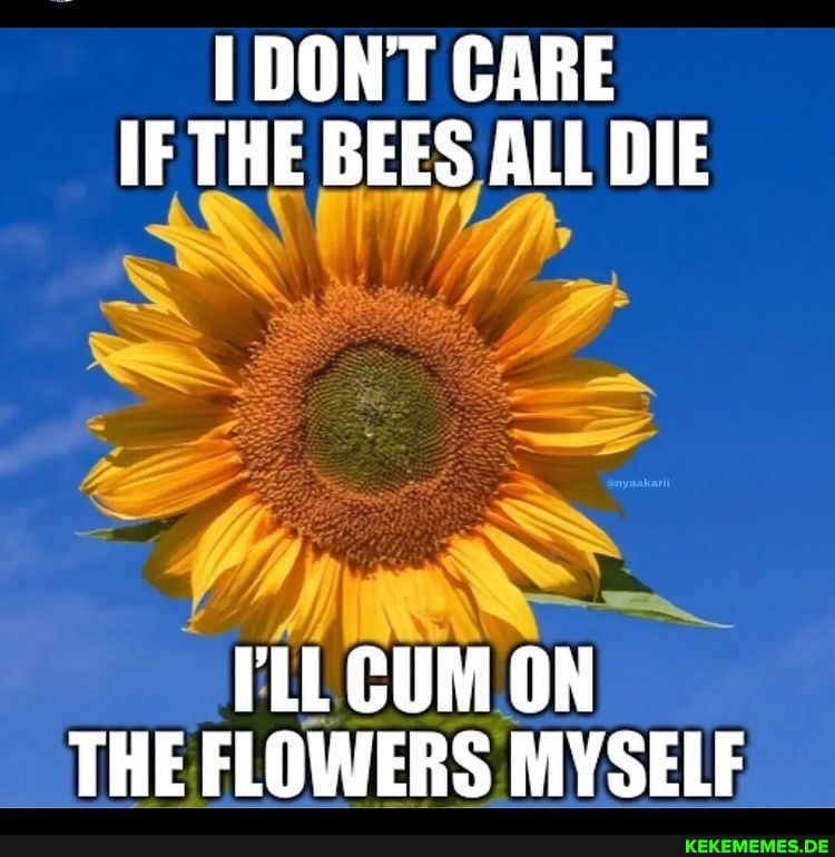 DON'T CARE IF THE BEES ALL DIE LL CUM ON THE FLOWERS MYSELF