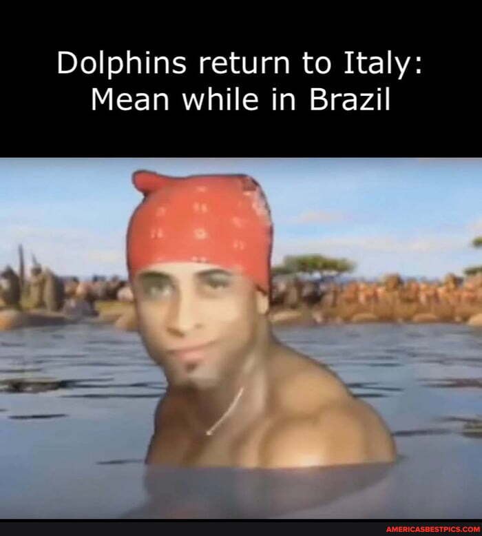Dolphins return to Italy:
Mean while in Brazil
