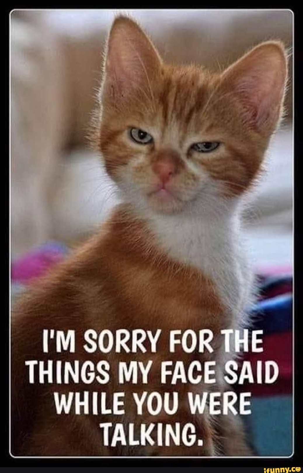 Sorry For The Things My Face Said While You Were Talking Ifunny