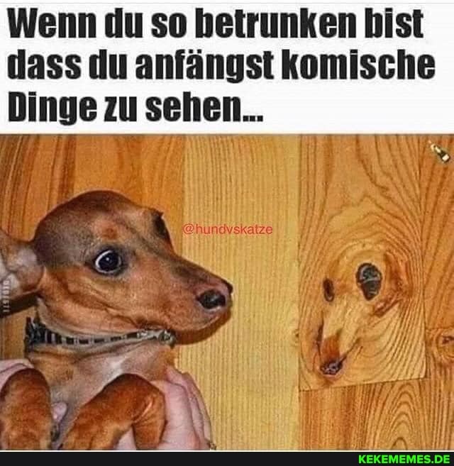 dass Hinge du anfängst komische
Hinge mm eohon.