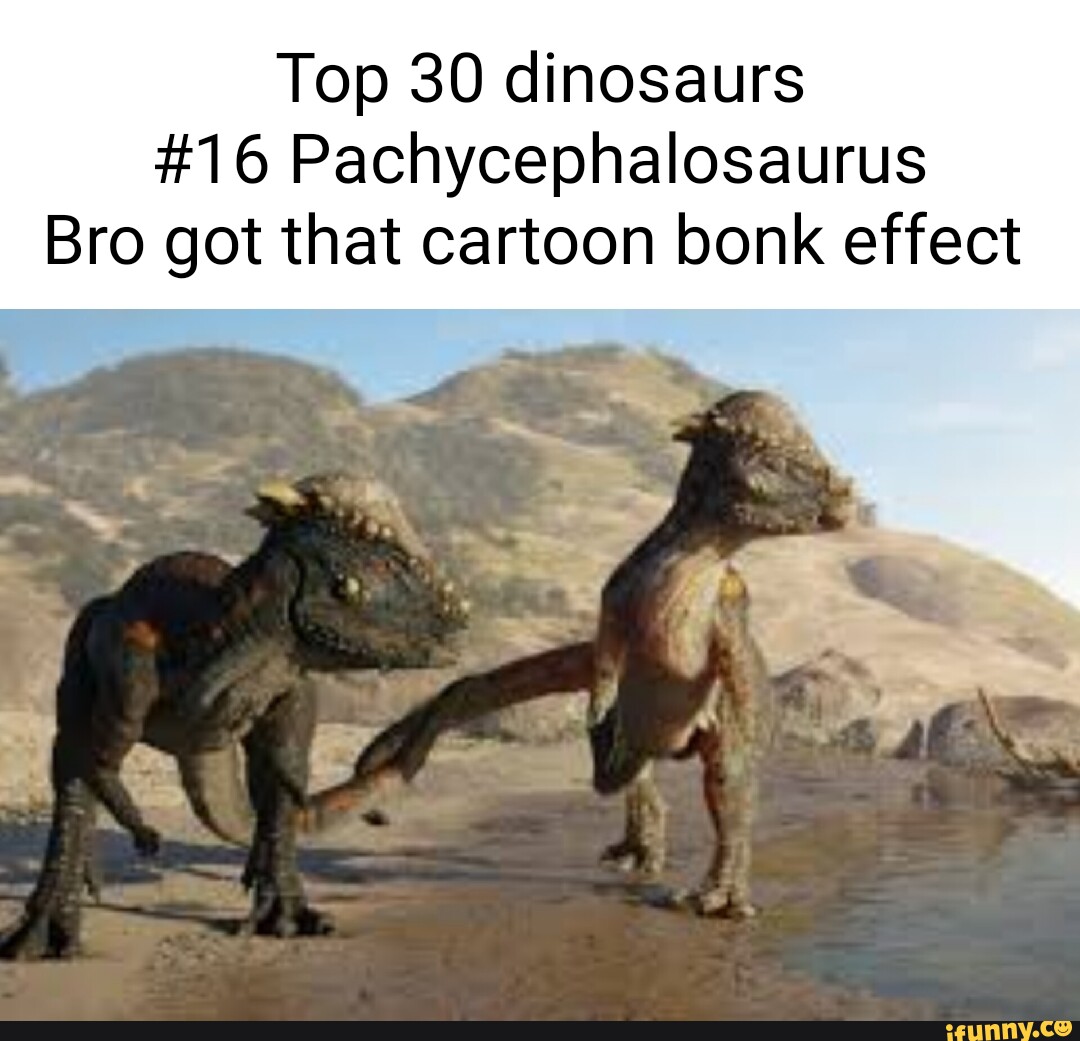 Top 30 dinosaurs #16 Pachycephalosaurus Bro got that cartoon bonk ...