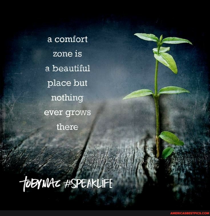 a comfort
zone is a beautiful place but nothing
ever grows
there
