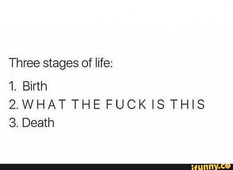 Three stages of life:
2. WHAT THE FUCKIS THIS
3. Death