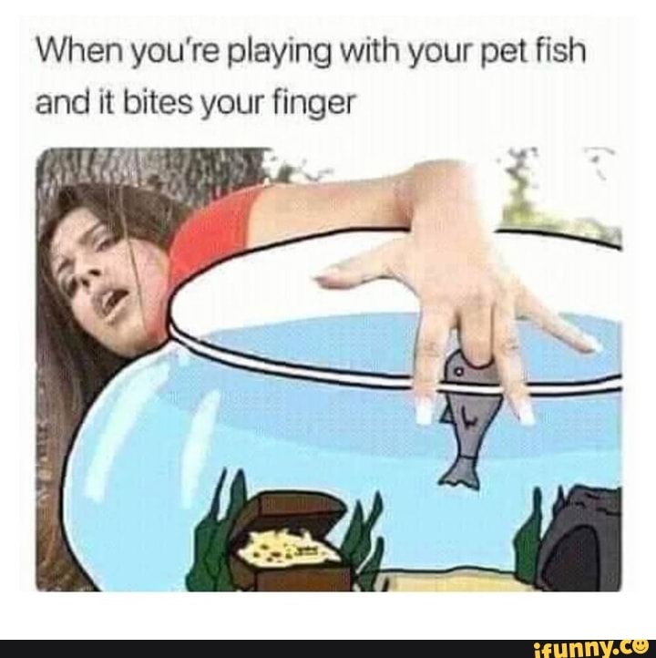 When you're playing with your pet fish and it bites your finger