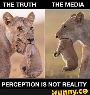 THE TRUTH THE MEDIA
PERCEPTION IS REALITY