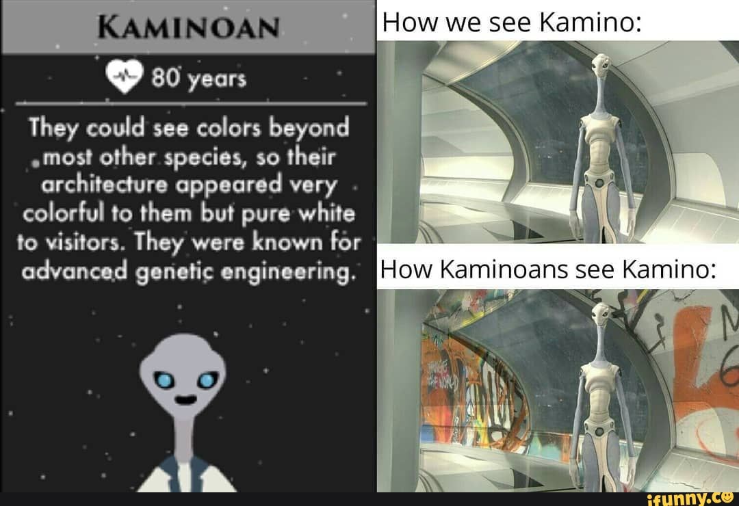 KAMINOAN I How we see Kamino: years Kaminoans They could see colors beyond ...