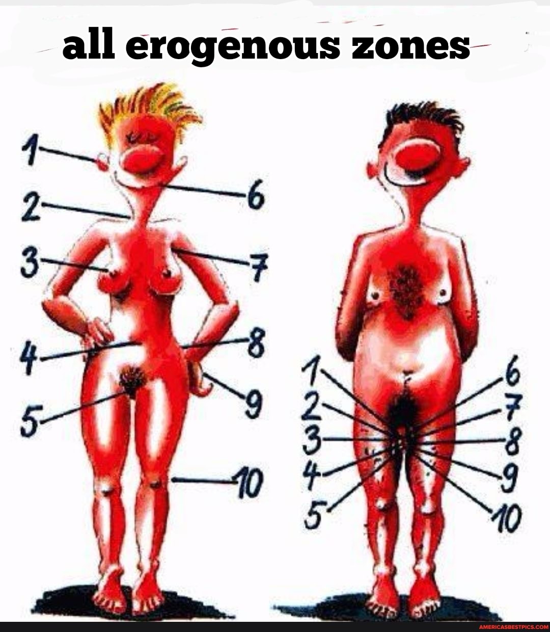 all erogenous zones- SS.