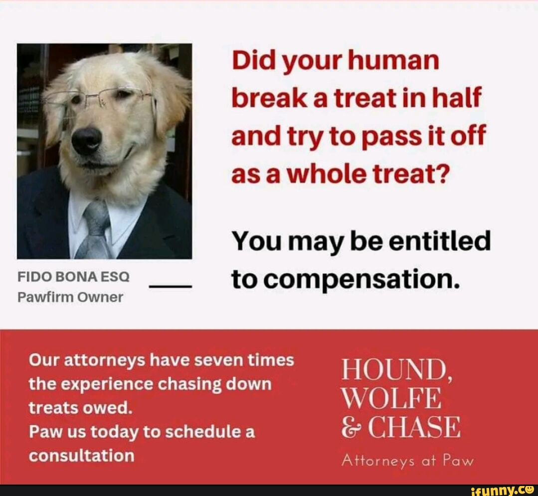 did-your-human-break-a-treat-in-half-and-try-to-pass-it-off-as-a-whole