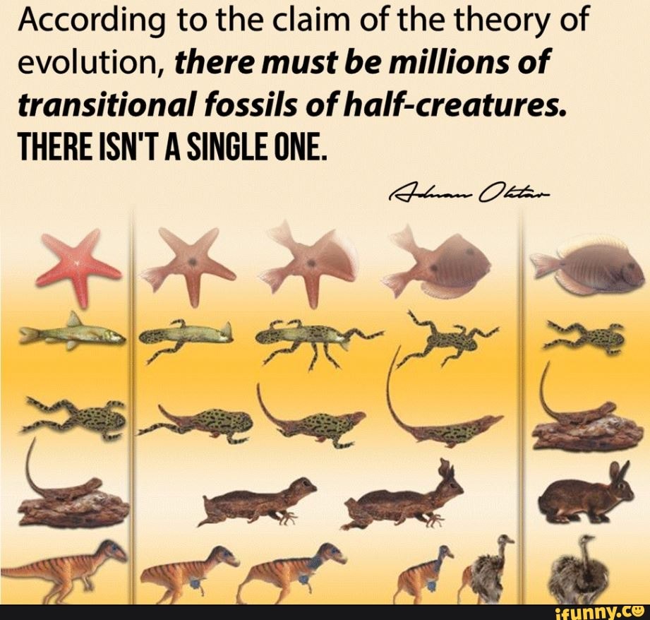 According to the claim of the theory of evolution, there must be millions  of transitional fossils of half-creatures. THERE ISN'T A SINGLE ONE. Ss -  iFunny Brazil