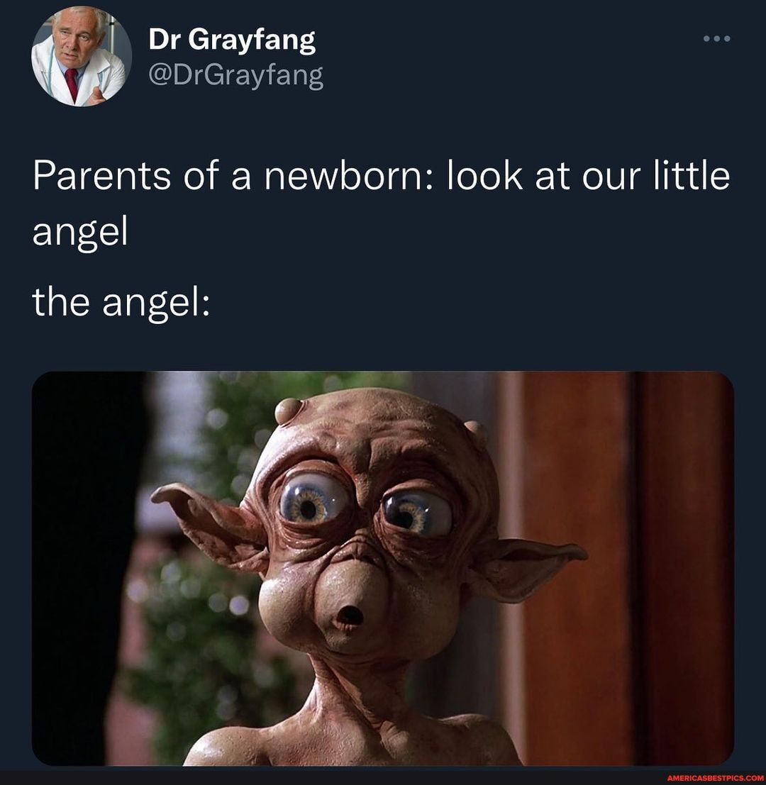 Image with text 'Lady, you're scaring us' from Dr Grayfang, humorous social media post