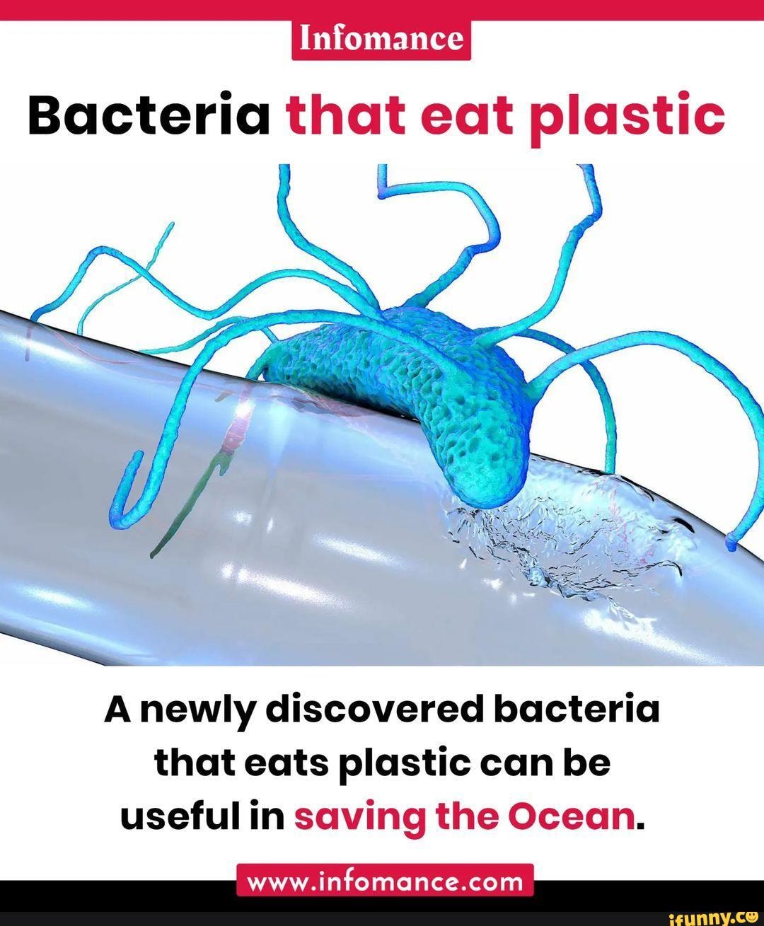 Bacteria that eat plastic newly discovered bacteria that eats plastic