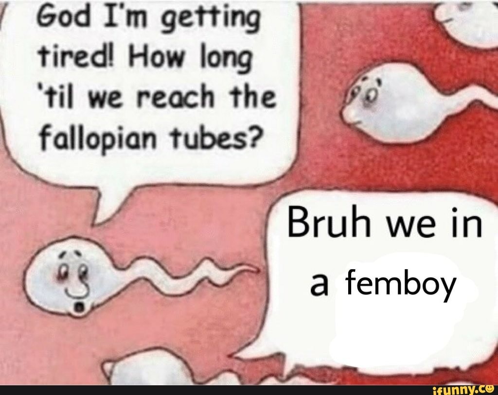 Femboy Tube