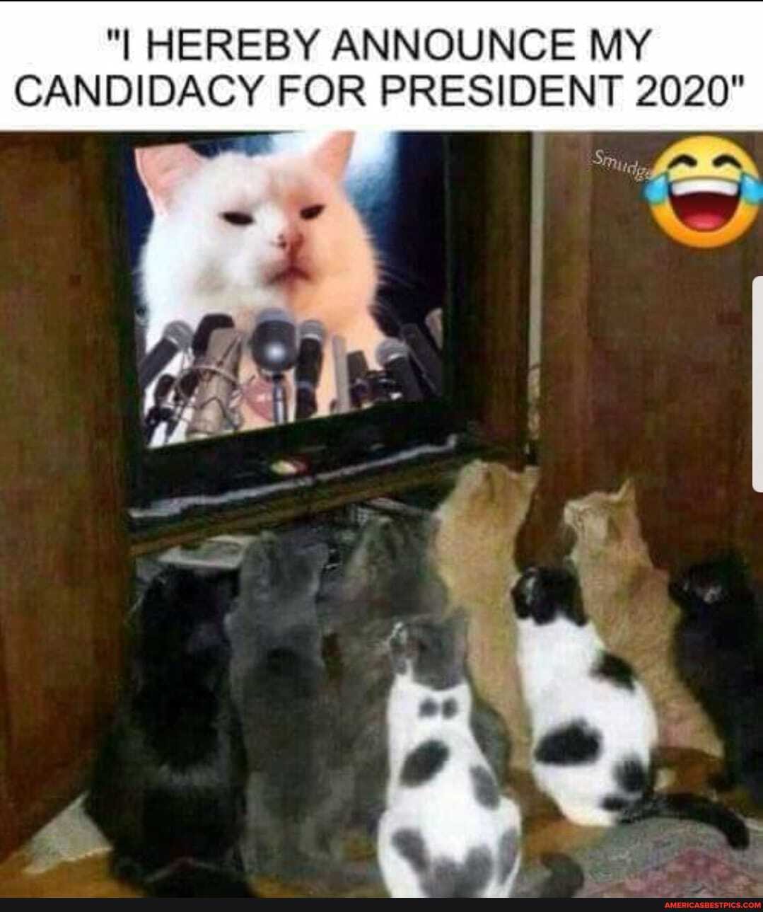 "I HEREBY ANNOUNCE MY CANDIDACY FOR PRESIDENT 2020"