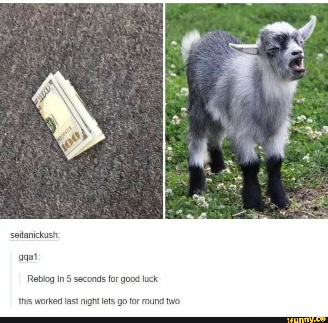 seitanickush:
gqa1
Reblog In 5 seconds for good luck
this worked last night lets go for round two