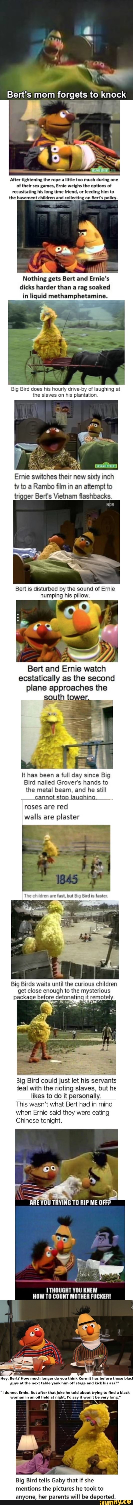 Bert's mom forgets to knock
Aker ti‘htenlnl lhe rope a little too mud! during one
ol (hell sex "me:, Emle weighs Ihe optlons o'
muslmln; his Ion. lime friend, or feeding him to
me basement chiidren and :olledinz on Ben's policy,
