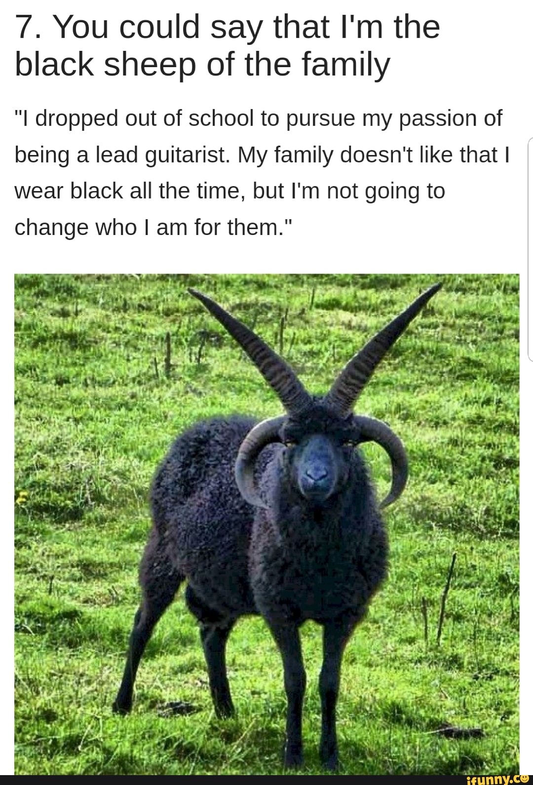 7 You Could Say That I M The Black Sheep Of The Family I Dropped
