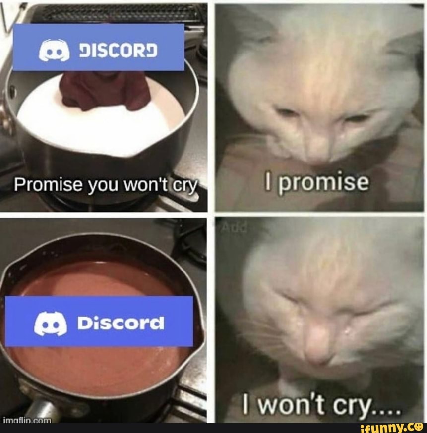 / BISCORD
Promise you won't.chys,
com
I promise
I won't cry...