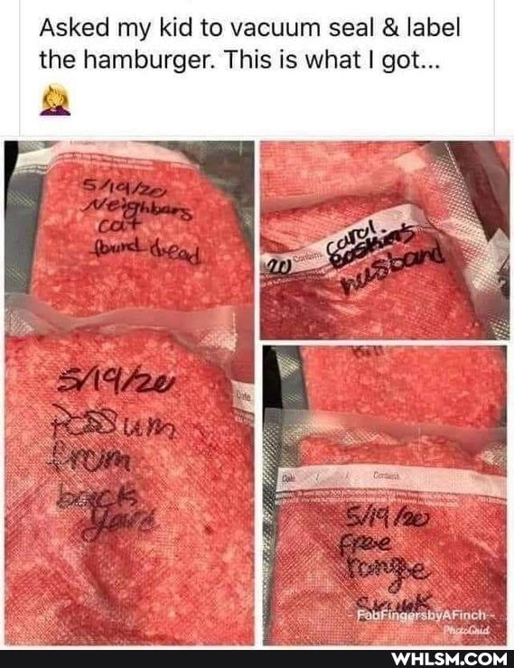 Asked my kid to vacuum seal & label the hamburger. This is what I got...
Fouf