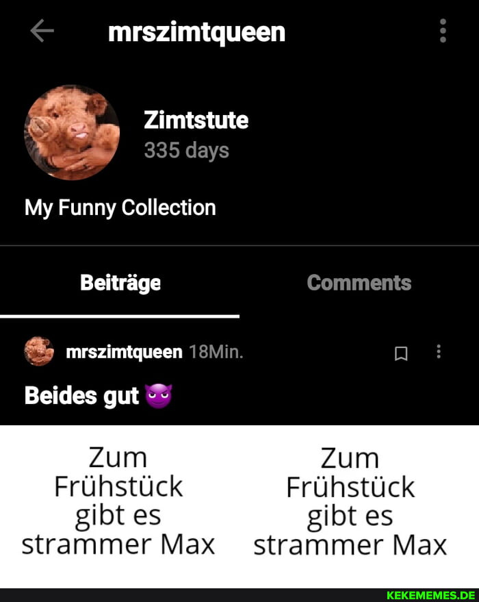 mrszimtqueen Zimtstute 335 days My Funny Collection Beitrage Comments & mrszimtq