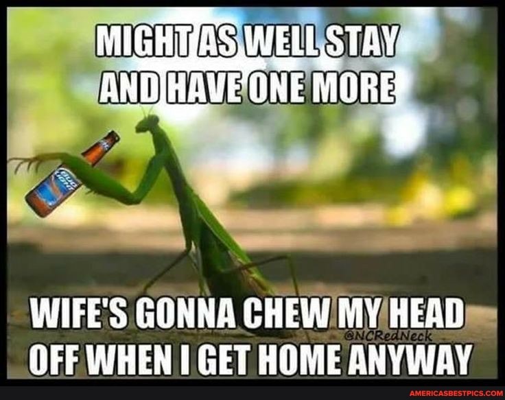 MIGHTIAS WELL STAY ANDJHAVE ONE nORE
WIFE'S GONNA CHEW MY READ OFF WHEN GET HOME ANYWAY
