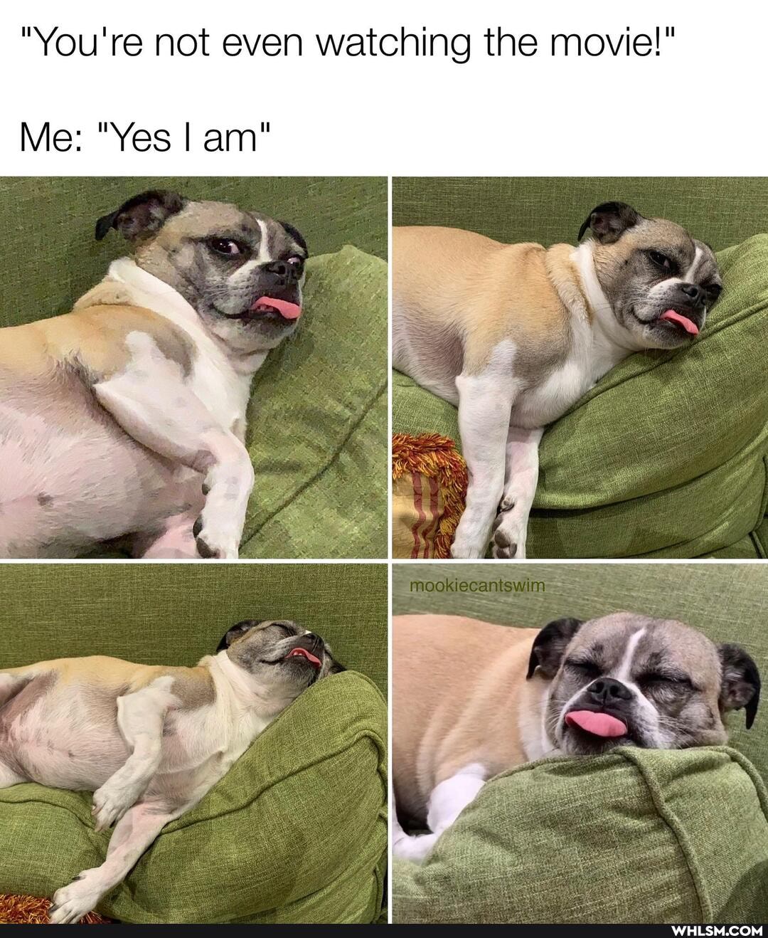 "You're not even watching the movie!"
Me: "Yes I am"
