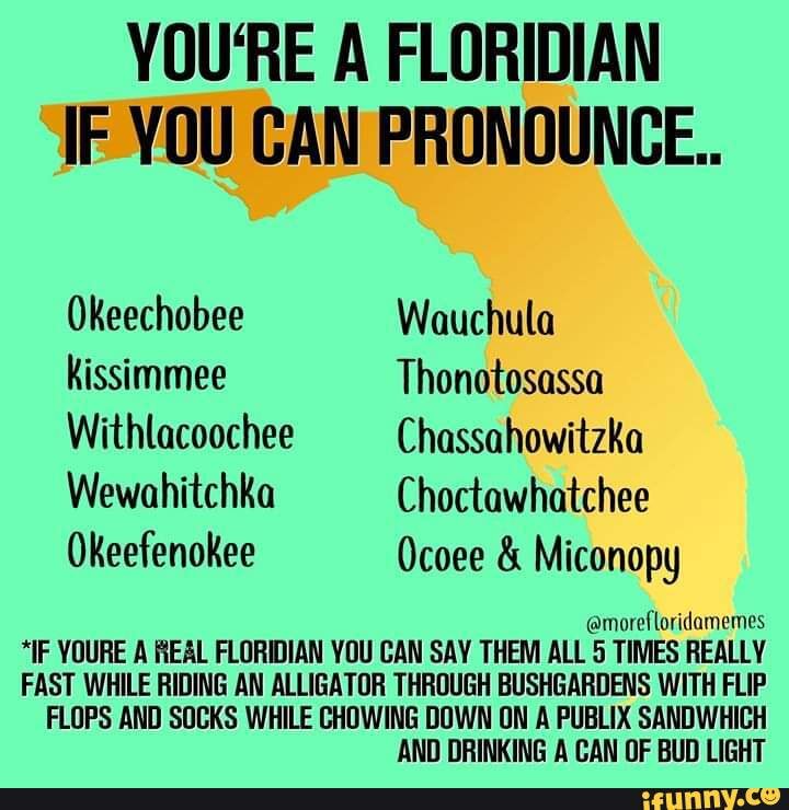 Okeefenokee memes. Best Collection of funny Okeefenokee pictures on iFunny
