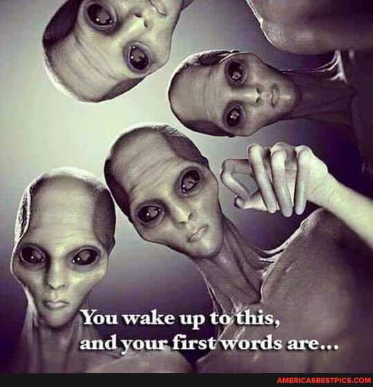 You wake up io this.
and your first words are