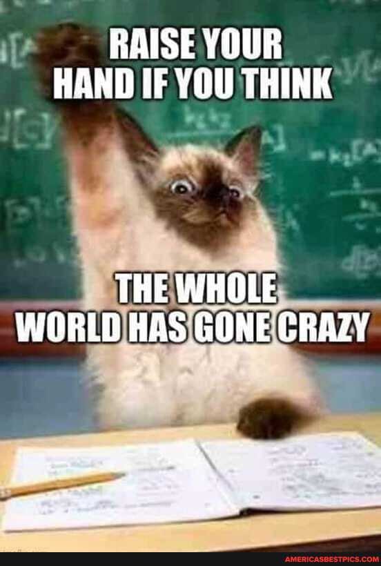 KAISE YOUR HAND IF YOU THINK
THE WHOLE WORLD HAS GONE CRAZY