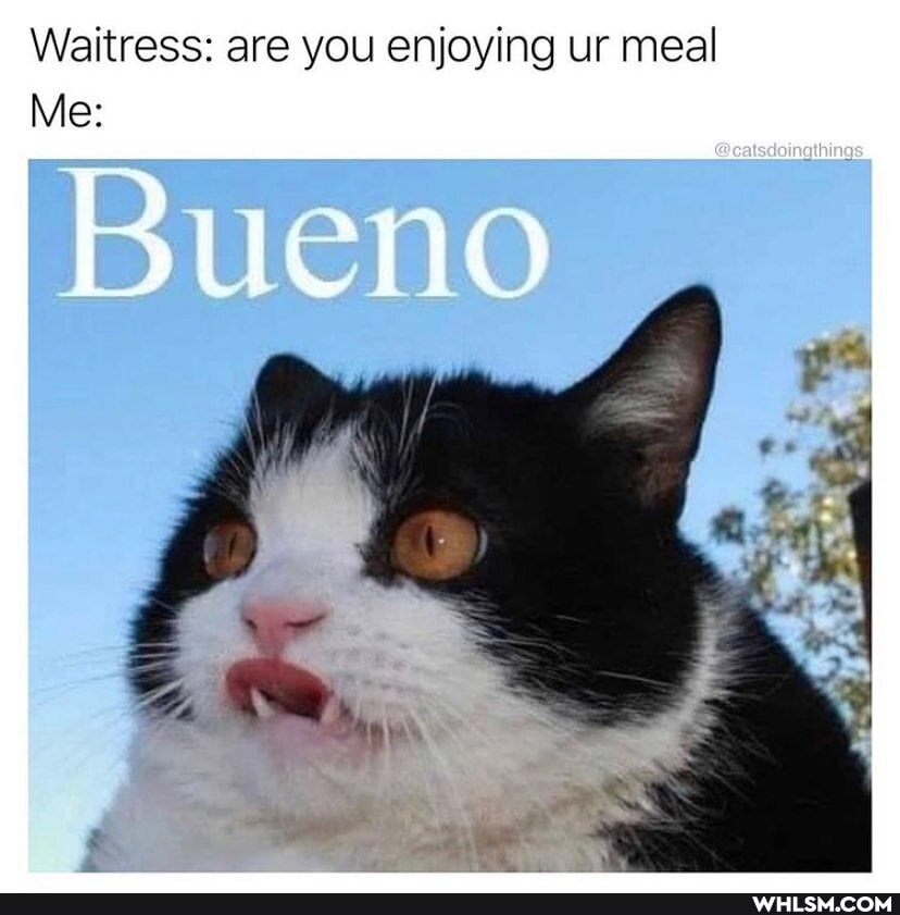 Waitress: are you enjoying ur meal
Me: