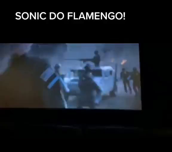 Galera irei mudar o nome do perfil para Sonic, Flamenguista.BIG DAY -  Galera irei mudar o nome do perfil para Sonic_Flamenguista.BIG DAY👍 -  iFunny Brazil