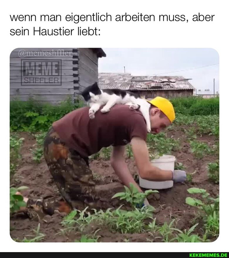 wenn man eigentlich arbeiten muss, aber sein Haustier liebt:
(@memeshffier
