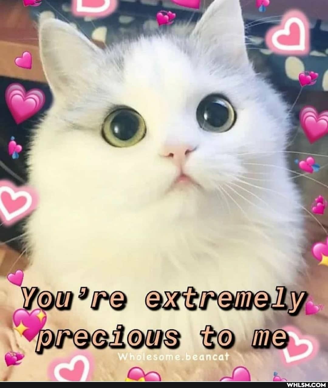 Vou're extremely me cat
"precious on