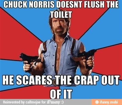 CHUCK NORRIS DOESNT FLUSH THE TOILET, HE SCARES. THE CRAP OUT, OFIT - )
