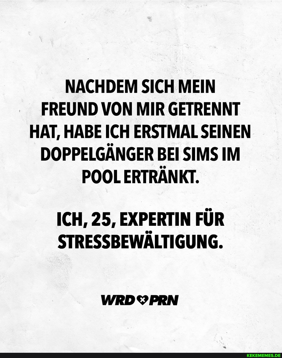 NACHDEM SICH MEIN FREUND VON MIR GETRENNT HAT, HABE ICH ERSTMAL SEINEN DOPPELGÄNGER BEI SIMS IM POOL ERTRÄNKT.
ICH, 25, EXPERTIN FÜR STRESSBEWÄLTIGUNG.
WRDYPRN