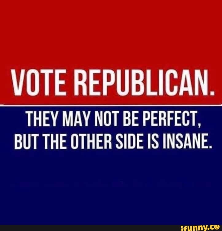 Vote Republican They May Not Be Perfect But The Other Side Is Insane